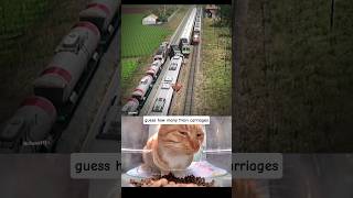 Download Lagu the best caption for super train will be pinned🙌🤸‍♀️#phonkagressive #cat #train #super #memes MP3