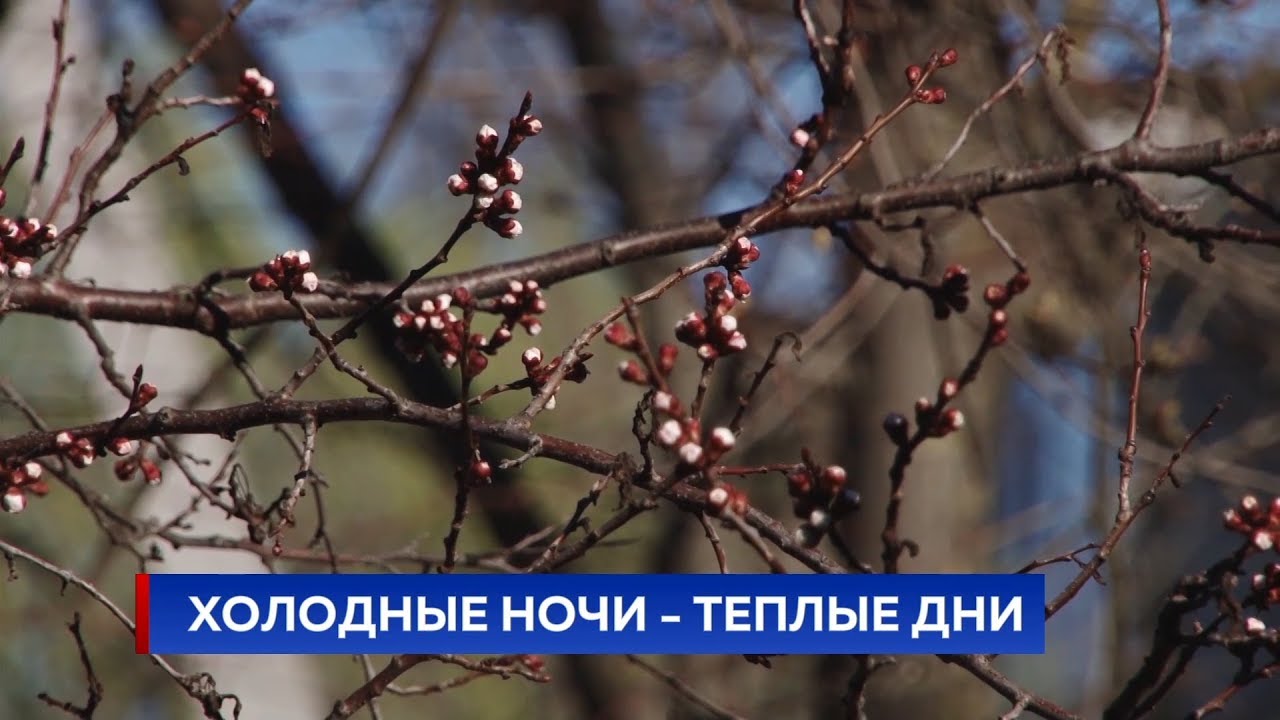 Самый холодный апрель. Холодный апрель. Апрель холодно. Холодный апрель картинки.