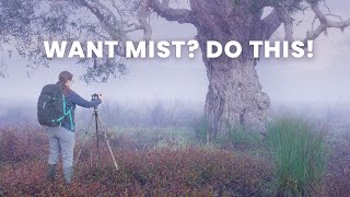 How to Predict Mist for Landscape Photography 