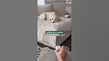 Getting a Blink Mini 2? Definitely non-negotiable.