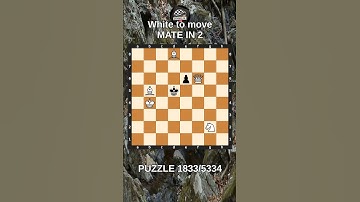 Chess puzzle series 🧩1833/5334 #chess #puzzle #learnchesstactics #magnuscarlsen #polgar #chessbooks