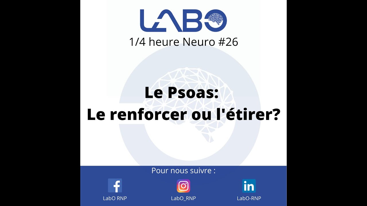 Le psoas : l'étirer ou le renforcer ?