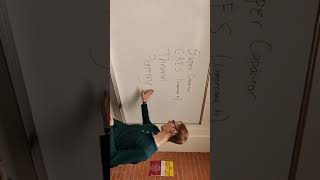 Video report 2