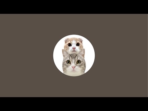 Mochimaru - YouTube