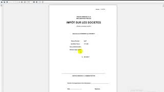 Quick-EDI (Simpl-IS), Impression du bilan Liasse Fiscale screenshot 5
