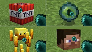 what's inside blocks and mobs?