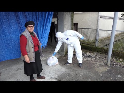 ფოთის მაჟორიტარის მხარდაჭერით 300 ოჯახს სურსათი გადაეცა 24 04 20