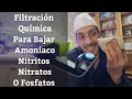 🔵 Aprende A Bajar El Amoniaco,Nitrito,Nitrato O Fosfatos Con La Filtración Química (Acuarios MB)