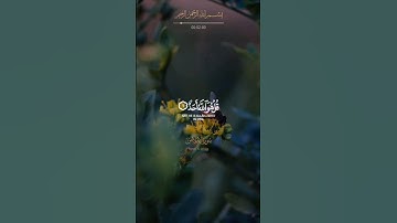 السورة التي تعدل ثلث القرآن - سورة الإخلاص ....#قرآن #سورة_الإخلاص #quran