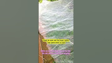 Thực Tế Lưới Vét Cá – Lưới Kéo Cá Cước Mắt 3mm| Vắt Cánh Lưới Đều, Bền Đẹp| Gia Phạm Fishing #shorts