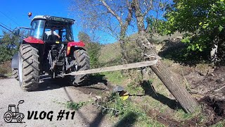 To Install Fertilizer, I Had To Cut Trees! (VLOG # 11) | MF 5440 & Ford 3000