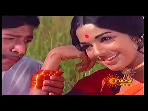 DrVishnuvardhan Superhit Movie Nagarahavu HDTV Videosong Baare Baare
