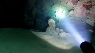 OrcaTorch D511 Dive Torch Max 2200 Lumens