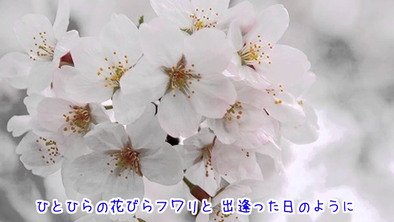 歌詞付き Sakura あの日の記憶 Blue Bird Beach Youtube 歌詞付き Sakura あの日の記憶 Blue Bird Beach Youtube