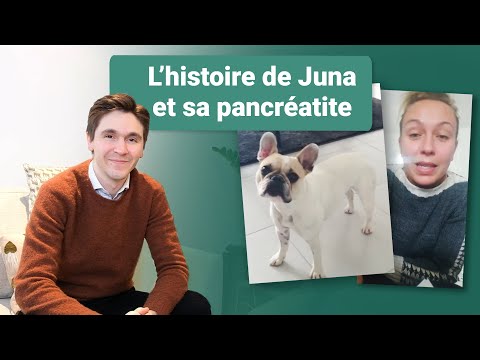 Vidéo: Pronostic pour la pancréatite chez le chien