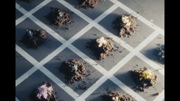 Loods6 | Recap 2024 - 2025