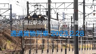 【HD60P】JR千里丘駅 通過貨物 2023.2.28
