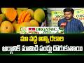 మా వద్ద అన్ని రకాల ఆర్గానిక్ మామిడి పండ్లు దొరుకుతాయి | Purity prayag | hmtv Organic Mela