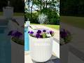 DIY Solar Garden Patio Fountain! Easy DIY from Amazon