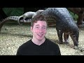 5 Reasons Why Pangolins Are Amazing! 5 Weird Animal Facts