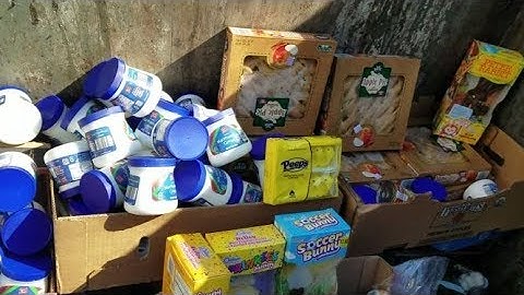 DUMPSTER DIVING ALDI DAILY VIDEO #65