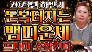[2023년 하반기 뱀띠운세] 하반기에 금전,재물 대박나는 뱀띠운세?!  뱀띠분들 무조건 대박나실테니 걱정하…