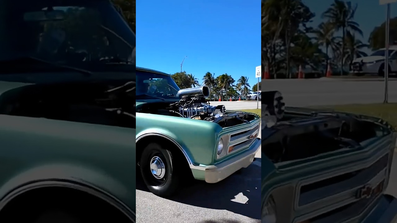 Новогоднее шоу! 