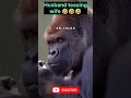 Husband teasing wife 😂😂#funnyvideo #funnyshorts #funny #laugh #laughoutloud #laughter