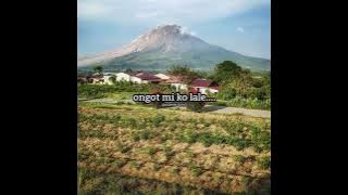 jangin gayo terbaru 2021 - teduh mi ko mongot (cover : arman lida 2019).