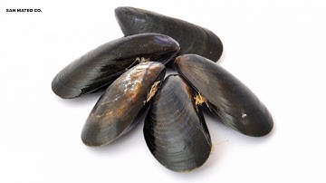 Consuming shellfish harvested from San Mateo Co. not advised due to toxin risk, CDPH says