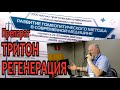 Препарат &quot;ТРИТОН РЕГЕНЕРАЦИЯ&quot;. Доклад  Карена Мхитаряна на XXXI конференции гомеопатов.