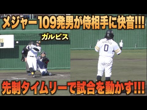 二年目の覚醒！ガルビスが山本由伸から値千金の先制タイムリー二塁打を放つ！#侍ジャパン#日本代表#キャンプ＃WBC