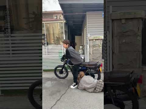 She’s a Walking Disaster