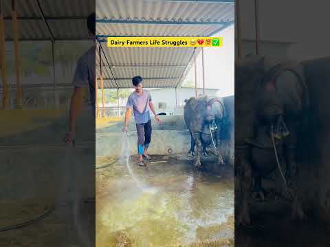 Subscribe Me 🔥✅💯|| #shorts #viralshorts