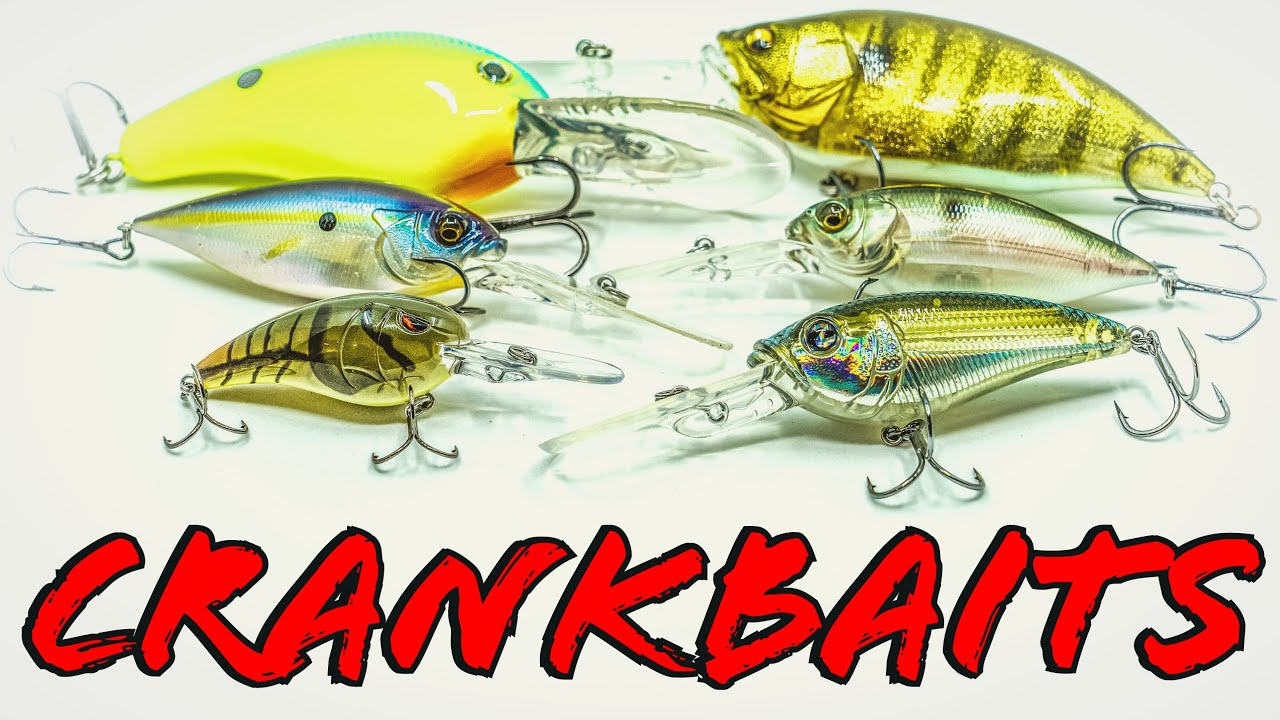 Rating The Best Deep Diving Summer Crankbaits… 