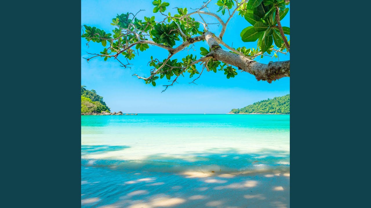 Tropical Inspiring Travel