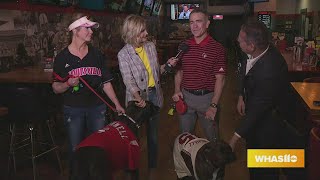 GDL: 'Bark in the Park' returns to UofL Baseball