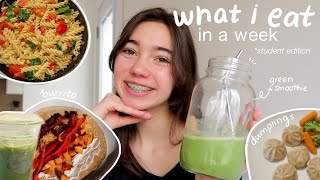 what i eat in a week (busy college student edition)