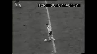 pZPV5b-CMd8 Video Image
