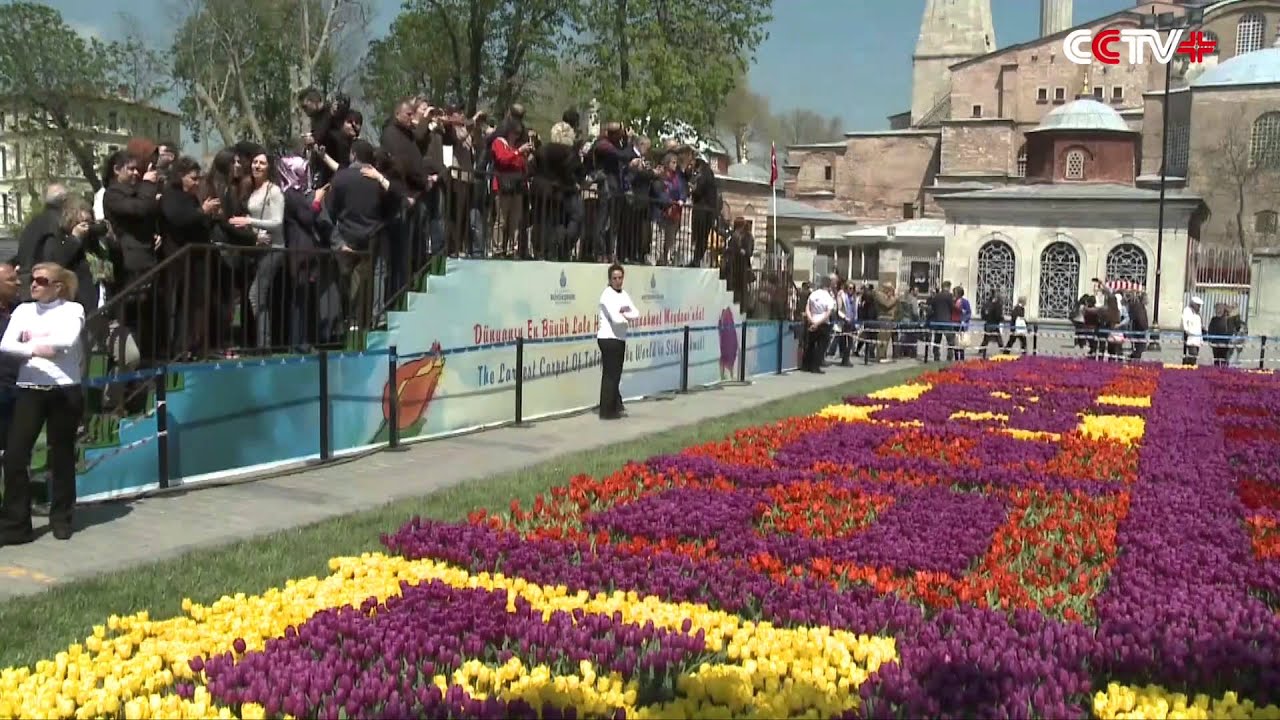 Резултат с изображение за Tulips carpet in  istanbul