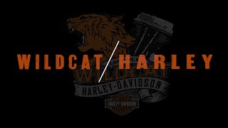 Wildcat Harley Davidson