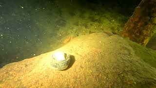 2024 M. Balandžio 27 D.