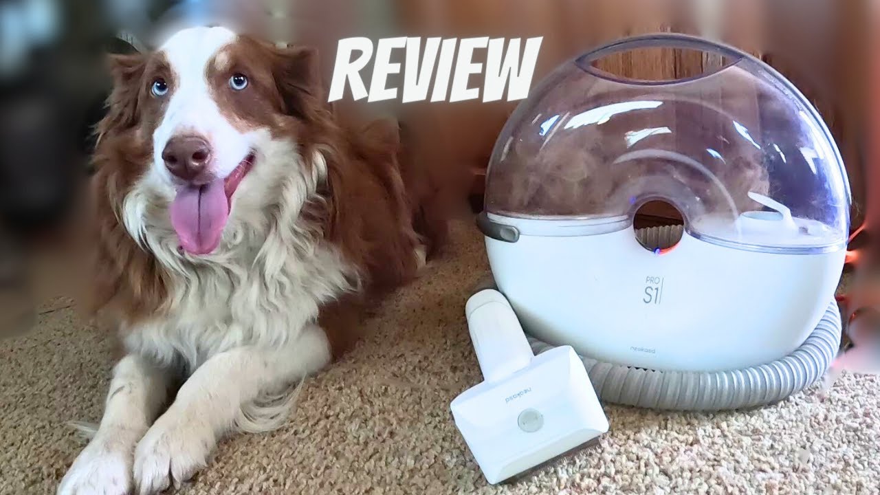 The Ultimate Pet Hair Solution The Neakasa Pet Grooming Vacuum YouTube