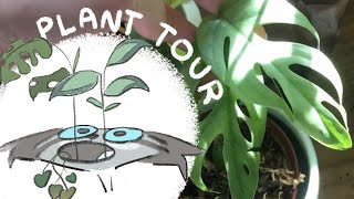 Plant Tour - April '22 by Finchwing 6,475 views 2 years ago 39 minutes