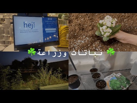 يوم بالمزرعة اشتريت محمية للنباتات  