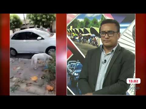 Praça na zona norte encontra-se em estado de descaso em Teresina 26 11 2024