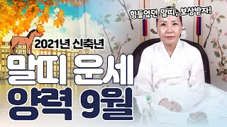 (말띠운세)(부천점집) 20세,32세,44세,56세,68세 보세요~신점으로 보는 2021년 신축년 양력 8월…