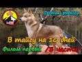 В тайгу на 10 дней.  1 фильм. /3 часть/