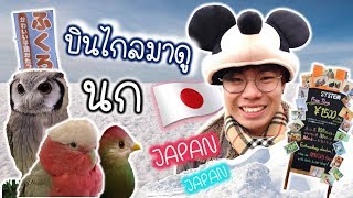 พามาดูนกแก้ว ไกลถึงญี่ปุ่น "Topby in Japan" | My PET EP.30