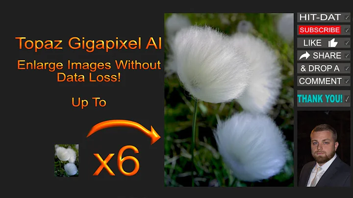 Revolutionize Your Photo Editing with Topaz Gigapixel AI